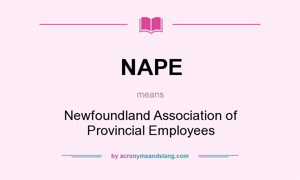 What does NAPE mean? It stands for Newfoundland Association of Provincial Employees