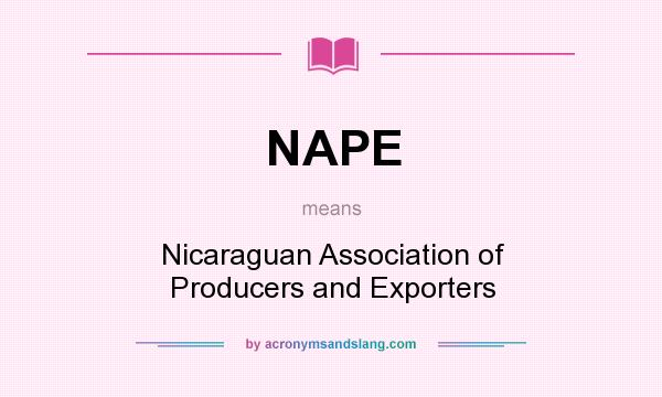 What does NAPE mean? It stands for Nicaraguan Association of Producers and Exporters