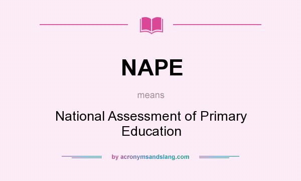 What does NAPE mean? It stands for National Assessment of Primary Education