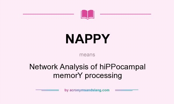 What does NAPPY mean? It stands for Network Analysis of hiPPocampal memorY processing