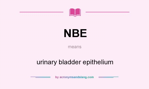 What does NBE mean? It stands for urinary bladder epithelium