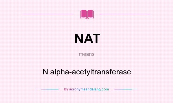 What does NAT mean? It stands for N alpha-acetyltransferase