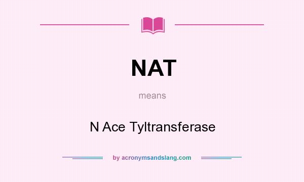 What does NAT mean? It stands for N Ace Tyltransferase
