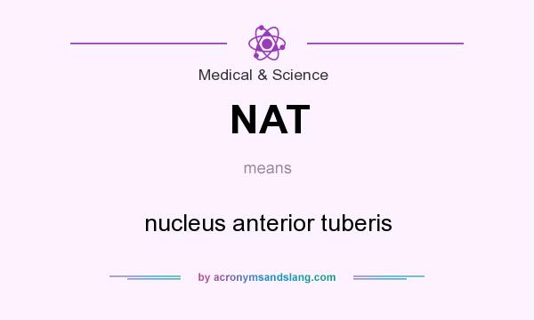 What does NAT mean? It stands for nucleus anterior tuberis