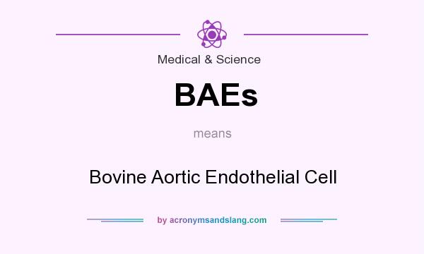 What does BAEs mean? It stands for Bovine Aortic Endothelial Cell