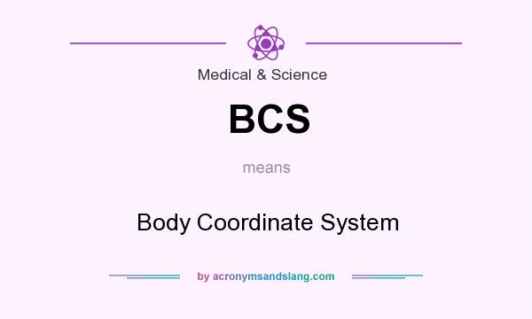 What does BCS mean? It stands for Body Coordinate System