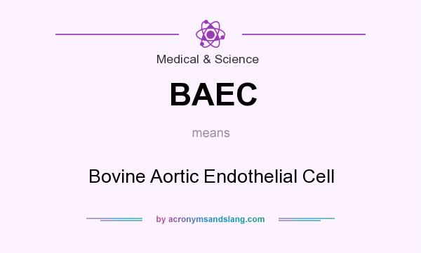 What does BAEC mean? It stands for Bovine Aortic Endothelial Cell
