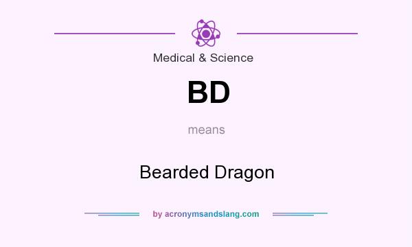 What does BD mean? It stands for Bearded Dragon