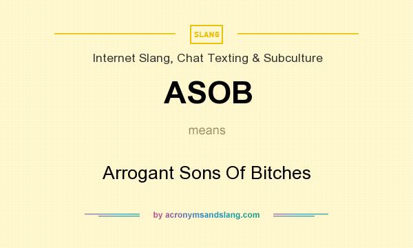 What does ASOB mean? It stands for Arrogant Sons Of Bitches