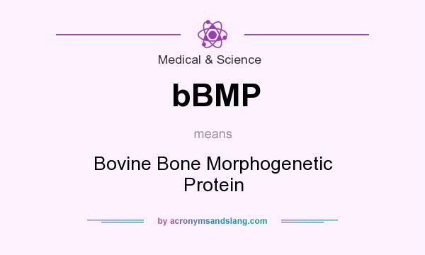 What does bBMP mean? It stands for Bovine Bone Morphogenetic Protein