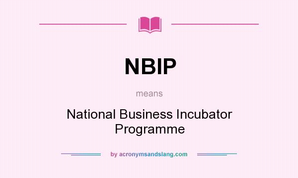 What does NBIP mean? It stands for National Business Incubator Programme