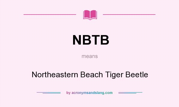 What does NBTB mean? It stands for Northeastern Beach Tiger Beetle