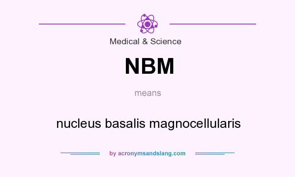 What does NBM mean? It stands for nucleus basalis magnocellularis