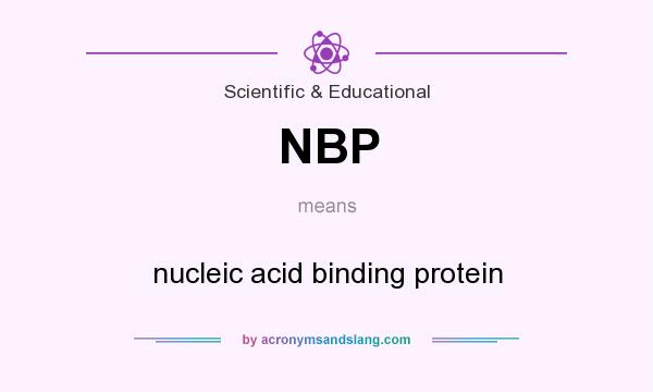 What does NBP mean? It stands for nucleic acid binding protein
