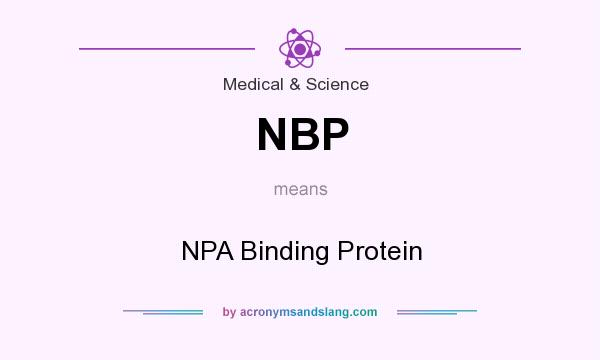 What does NBP mean? It stands for NPA Binding Protein
