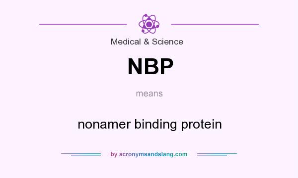 What does NBP mean? It stands for nonamer binding protein