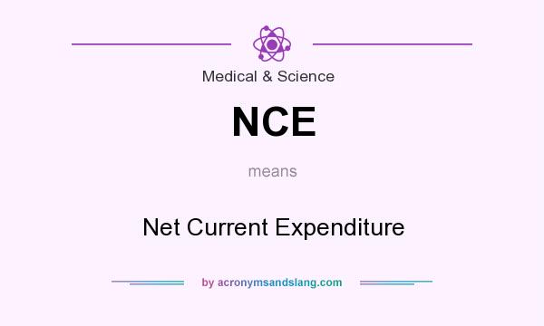 What does NCE mean? It stands for Net Current Expenditure