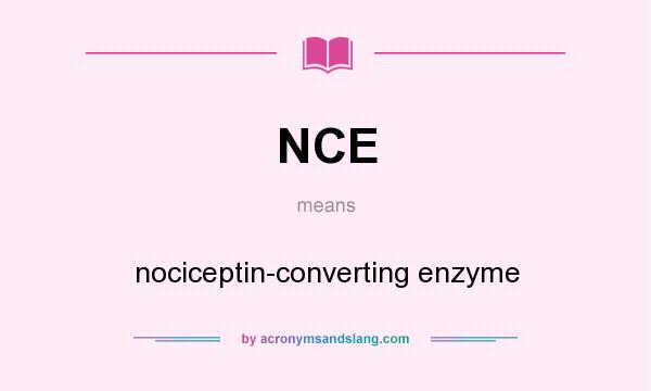 What does NCE mean? It stands for nociceptin-converting enzyme