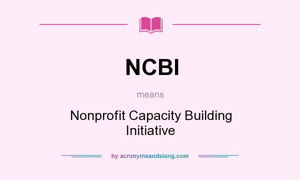 What does NCBI mean? It stands for Nonprofit Capacity Building Initiative