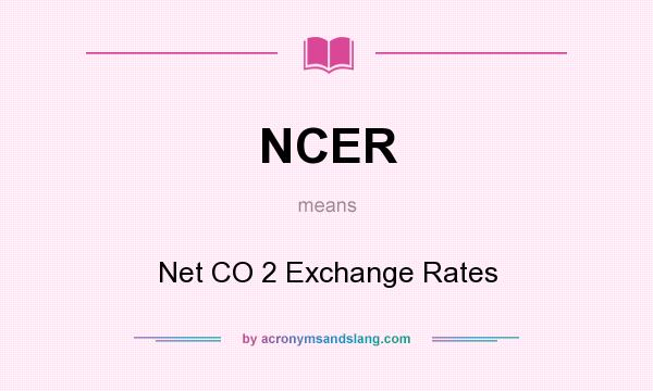 What does NCER mean? It stands for Net CO 2 Exchange Rates