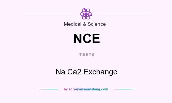 What does NCE mean? It stands for Na Ca2 Exchange