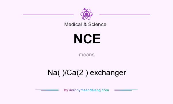 What does NCE mean? It stands for Na( )/Ca(2 ) exchanger