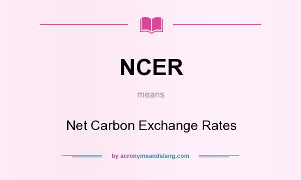 What does NCER mean? It stands for Net Carbon Exchange Rates