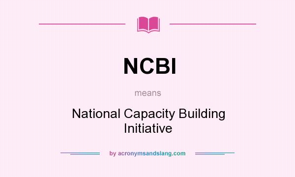 What does NCBI mean? It stands for National Capacity Building Initiative