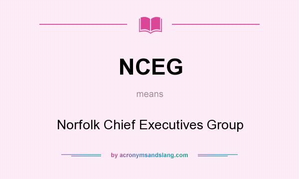 What does NCEG mean? It stands for Norfolk Chief Executives Group