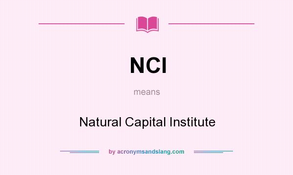 What does NCI mean? It stands for Natural Capital Institute
