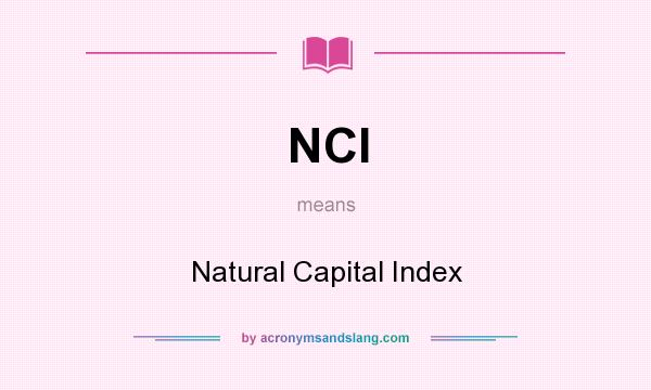 What does NCI mean? It stands for Natural Capital Index