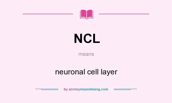 What does NCL mean? It stands for neuronal cell layer