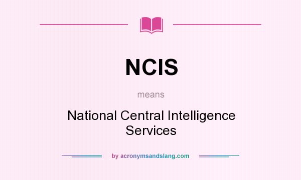 What does NCIS mean? It stands for National Central Intelligence Services