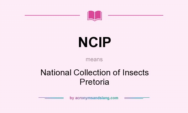 What does NCIP mean? It stands for National Collection of Insects Pretoria