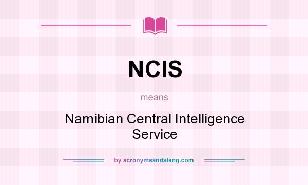 What does NCIS mean? It stands for Namibian Central Intelligence Service