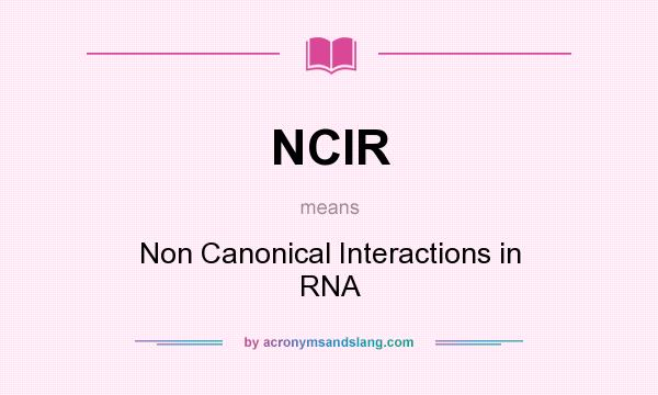 What does NCIR mean? It stands for Non Canonical Interactions in RNA