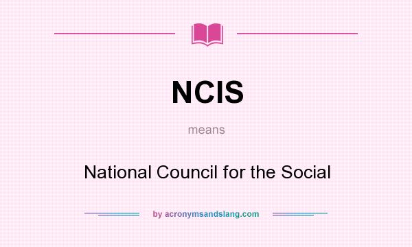 What does NCIS mean? It stands for National Council for the Social