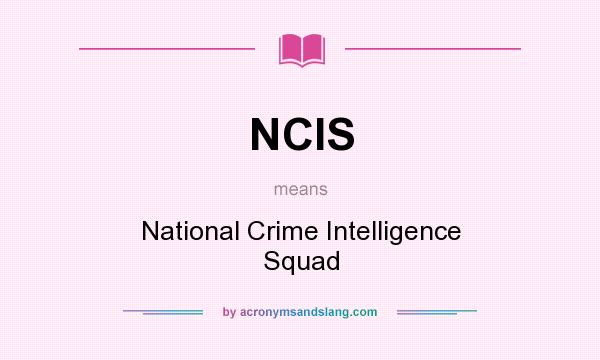 What does NCIS mean? It stands for National Crime Intelligence Squad