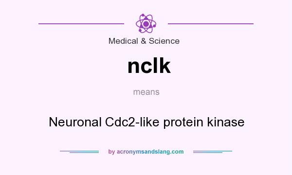 What does nclk mean? It stands for Neuronal Cdc2-like protein kinase