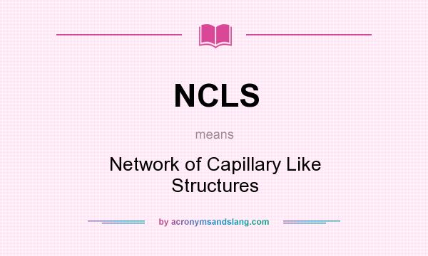 What does NCLS mean? It stands for Network of Capillary Like Structures