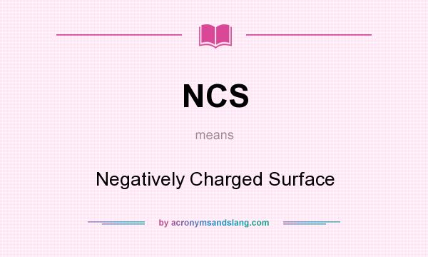 What does NCS mean? It stands for Negatively Charged Surface