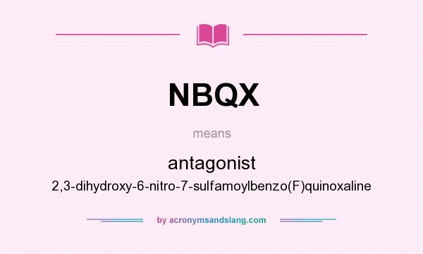 What does NBQX mean? It stands for antagonist 2,3-dihydroxy-6-nitro-7-sulfamoylbenzo(F)quinoxaline