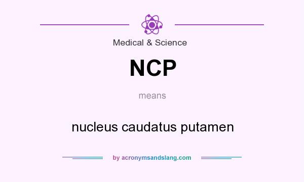 What does NCP mean? It stands for nucleus caudatus putamen
