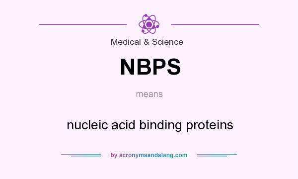 What does NBPS mean? It stands for nucleic acid binding proteins