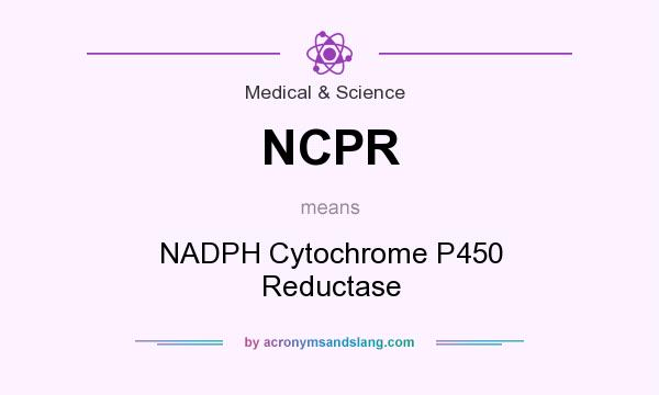 What does NCPR mean? It stands for NADPH Cytochrome P450 Reductase