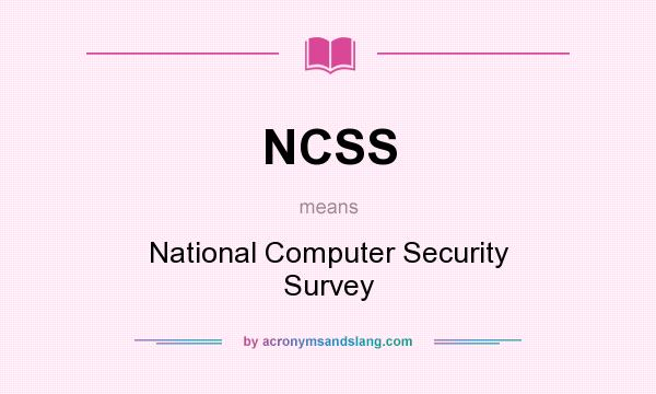 What does NCSS mean? It stands for National Computer Security Survey
