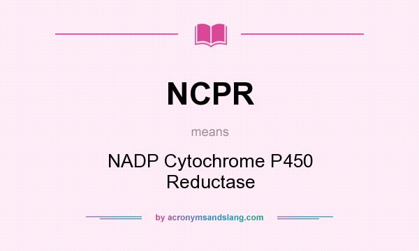 What does NCPR mean? It stands for NADP Cytochrome P450 Reductase