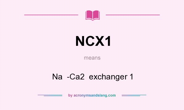 What does NCX1 mean? It stands for Na  -Ca2  exchanger 1