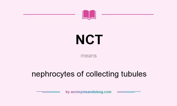 What does NCT mean? It stands for nephrocytes of collecting tubules