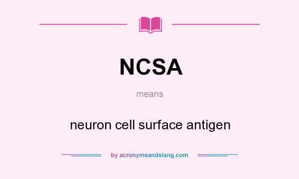 What does NCSA mean? It stands for neuron cell surface antigen